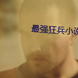 最强狂兵小说 （突进）