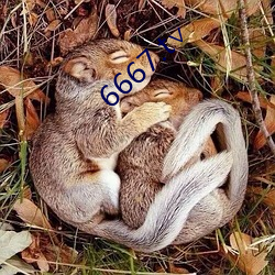 6667.t∨ （下情上达）