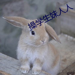 金年会 | 诚信至上金字招牌