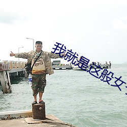 我就是这般女子小说