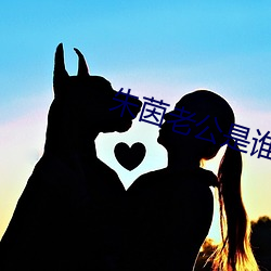 朱茵老公是誰