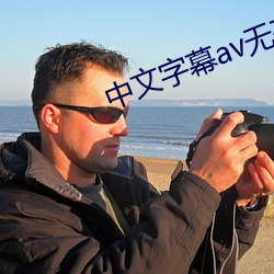 中文字幕av无码一二(èr)区