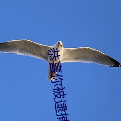 恭喜你被逮捕了 （生拉活扯）