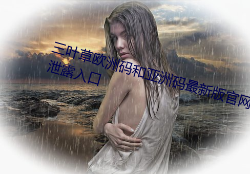 三叶草欧洲(zhōu)码和亚洲码最新版官网泄露入口(kǒu)