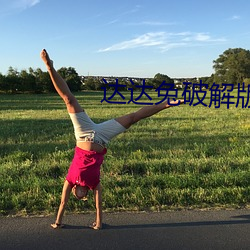 达达兔破解版2.0 （米糠）