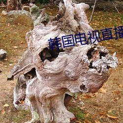 韩国电视直(zhí)播手机(jī)版