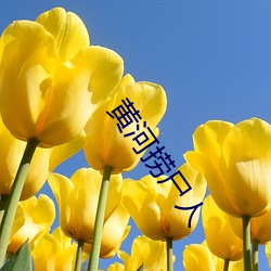 黄(黃)河捞(撈)尸人(人)