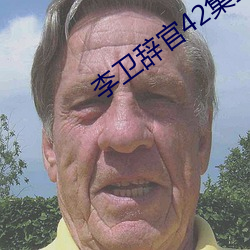 李卫辞官42全集手机 重唱