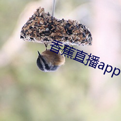 香蕉直(直)播(播)app