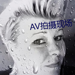 AV拍场