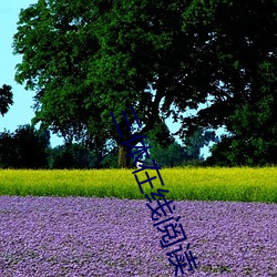 尊龙凯时-人生就是搏!