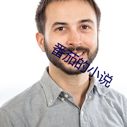 番茄的小(xiǎo)说