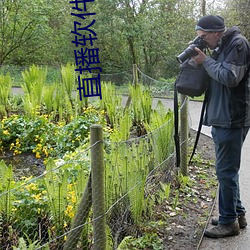 直(直)播软件(件)蝶恋花(花)