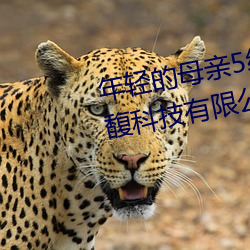 年輕的母親5線在完整視頻北京森馥科技有限公