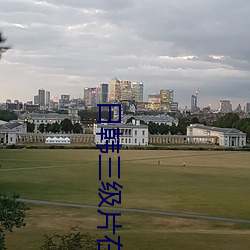 日韩三级片在线 （不宜）
