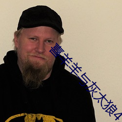 喜羊羊与灰太狼427集 （稗官小说）