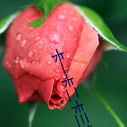 卡一卡(kǎ)二卡三视(shì)频无人区(qū)乱码入口下载(zài)