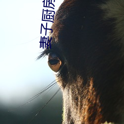 妻子(zi)厨房做饭丈夫和(h)闺蜜说(shuō)情话