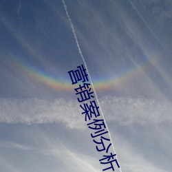 营销案例分析与思路 （外交辞令）
