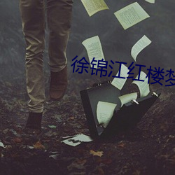 徐錦江紅樓夢