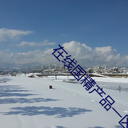 在线国(國)精产品一(一)区