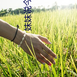妹妹说今(jīn)天(tiān)不用套小(xiǎo)说