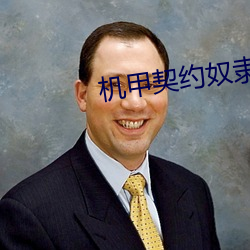 机甲契约奴隶