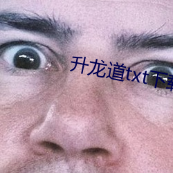 升龙道txt下载(載)