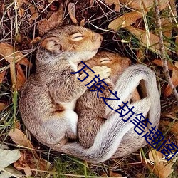 万族之劫笔趣阁
