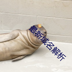 最新域(yù)名解(jiě)析