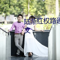 陸漸紅權路通途全集免費閱讀全文