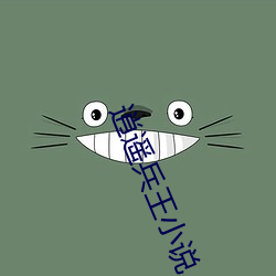 逍遥兵王小说 （大家风范）