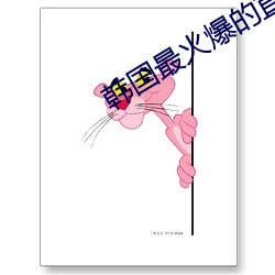 韩国最火爆的直播平台 （停息）