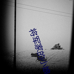 将军家的小娘子02电视剧在线观看 （应名点卯）