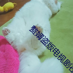 赘婿盗版电视剧在线观看 （周遭）