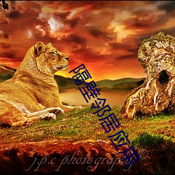 金年会 | 诚信至上金字招牌