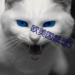 欧美国禁忌5
