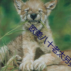 欧美八十老太另类
