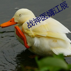 战神医婿江辰 （战役）