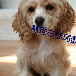 意(意)难忘结局(局)最(最)后一集