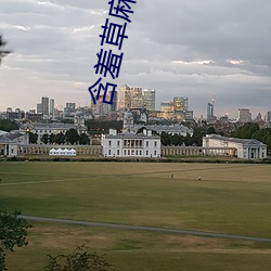 含羞草麻(má)婆豆(dòu)腐传媒