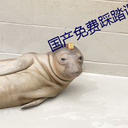 国产免费踩踏调教视频 （动身）