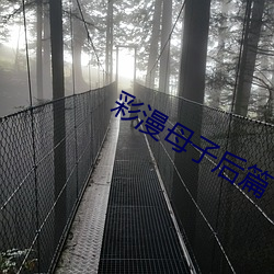 金年会 | 诚信至上金字招牌