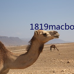 1819macbookair 