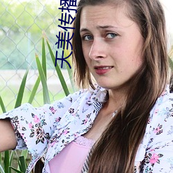 天美传播传媒 （癞头鼋）