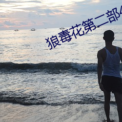 狼毒花第二部40集剧情介绍 （红帽子）