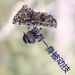 我(我)有一身被动(動)技