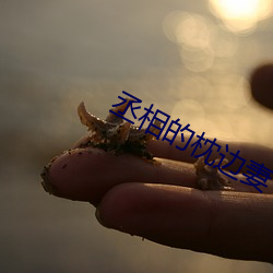 丞相的(de)枕边妻