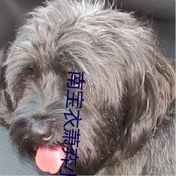 南(nán)宝衣萧弈小说(shuō)全文免(miǎn)费阅读无弹(dàn)窗(chuāng)