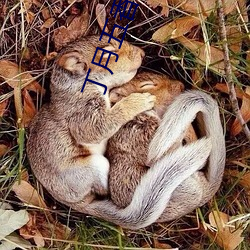 丁月(yuè)五香2020乱小说